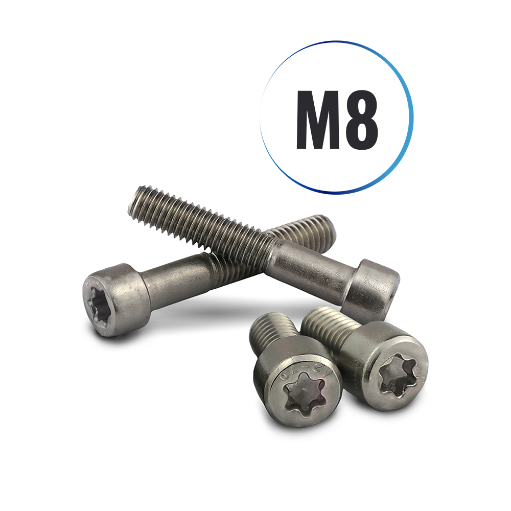 Zylinderschrauben M8 mit TORX ISO 14579 aus Edelstahl A2 – PROTECH DE